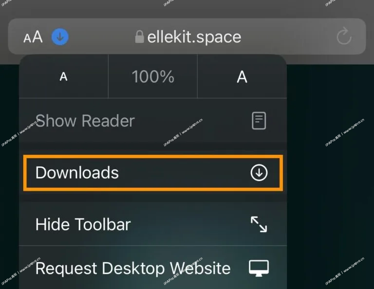 图片[3]-Dopamine多巴胺越狱下载以及越狱教程15.0-16.6.1-iPA+应用商店