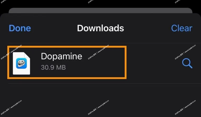 图片[4]-Dopamine多巴胺越狱下载以及越狱教程15.0-16.6.1-iPA+应用商店