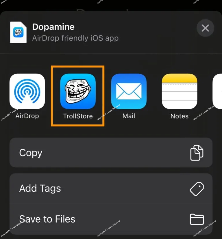 图片[6]-Dopamine多巴胺越狱下载以及越狱教程15.0-16.6.1-iPA+应用商店