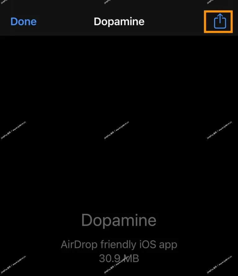 图片[5]-Dopamine多巴胺越狱下载以及越狱教程15.0-16.6.1-iPA+应用商店