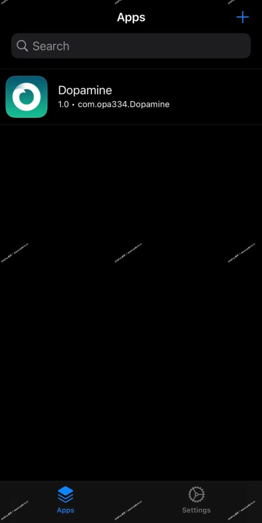 图片[8]-Dopamine多巴胺越狱下载以及越狱教程15.0-16.6.1-iPA+应用商店